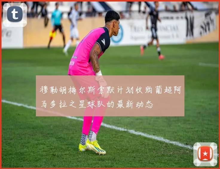 穆勒胡梅尔斯索默计划收购葡超阿马多拉之星球队的最新动态